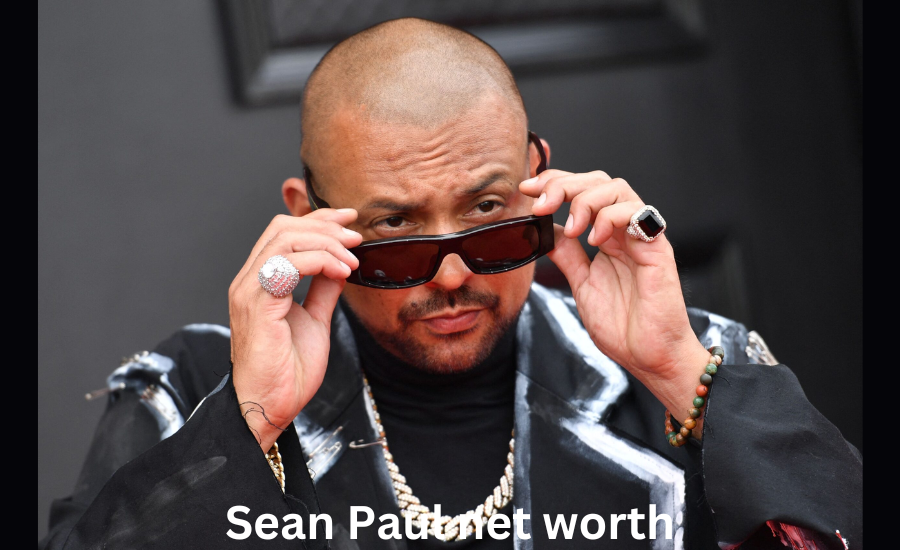 sean paul net worth