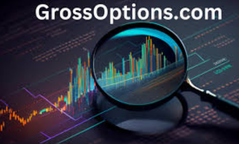 grossoptions.com